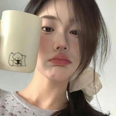 小狐狸封面